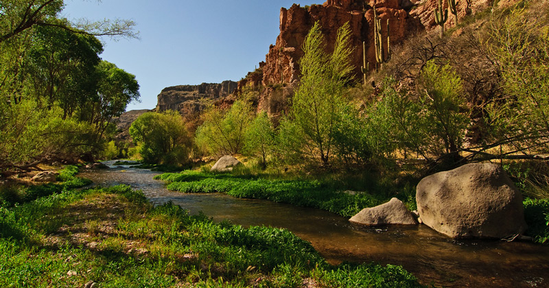 Afternoon Delight — Arizona landscape